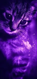 Mystical purple cat with butterfly wallpaper.