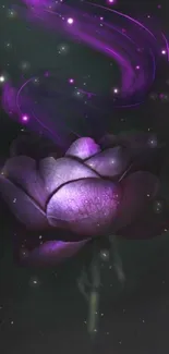 Mystical purple flower with glowing swirls on dark background.