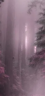 A misty pink forest path with tall trees and soft fog.