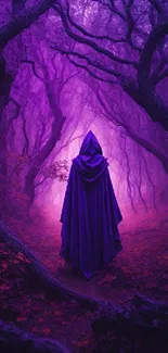 Hooded figure in a mystical, purple forest pathway.