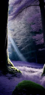 Mystical purple forest with sunlight streaming through trees and mossy ground.