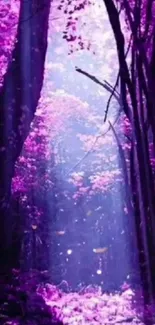 Mystical purple forest with ethereal light beams.