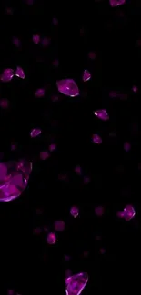 Purple gemstones on a black background