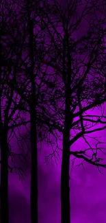 Silhouetted trees against a mystical purple night sky.