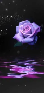 Purple rose with reflection in a starlit night scene.