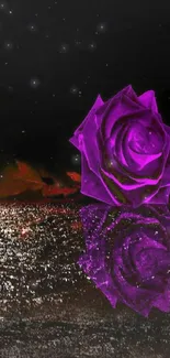 Mobile wallpaper of a purple rose with reflection on a dark background.