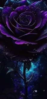 Mystical purple rose with glowing effect on dark background.