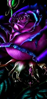 Vibrant and mystical purple rose on a dark background wallpaper.