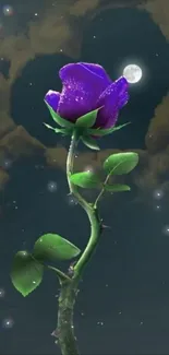 A purple rose under a moonlit sky with clouds.