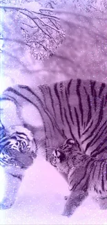 Mystical purple tiger in abstract snow background wallpaper.