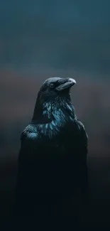 A majestic raven against a dark blue backdrop.