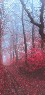 Misty forest path surrounded by red leaves.