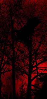 Dark red night wallpaper with silhouetted trees and a raven.