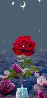 Mystical red rose with moonlit sky and vibrant colors.