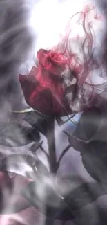 Mystical red rose with smoke effect wallpaper.