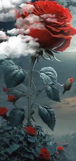 Mystical wallpaper with a red rose and moonlit sky.