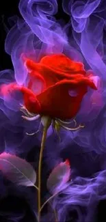 Red rose with purple smoke on a black background, creating a mystical look.