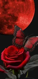 Red rose with butterfly and moon on dark background.