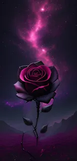 A vibrant purple rose under a starry galaxy night sky.