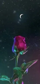 Mystical rose against a starry galaxy night sky with crescent moon.