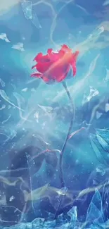 Red rose with icy shards in a blue mystical scene.