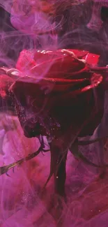 Red rose surrounded by fuchsia smoke.