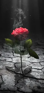 A mystical red rose blooms on cracked earth in a dark, dramatic scene.