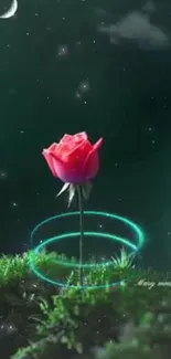 Glowing pink rose on dark green background with crescent moon.