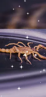 Scorpion on a starry, dark background with mystical effects.