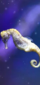 Seahorse floating in a purple galaxy with stars.