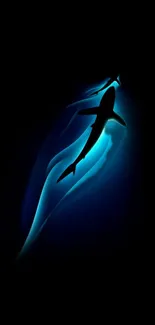 Silhouette of a shark glowing in deep ocean blue on mobile wallpaper.