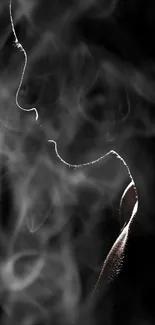 Profile silhouette in mysterious smoke.