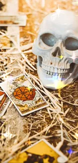 Skull with tarot cards on an earthy background.