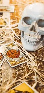 Skull with tarot cards on textured wood surface.