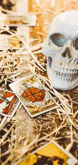 A skull with tarot cards on a textured background.