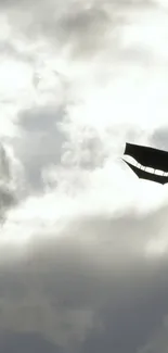 Silhouetted kite flying against a dramatic cloudy sky.