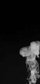 Abstract smoke swirling on a black background