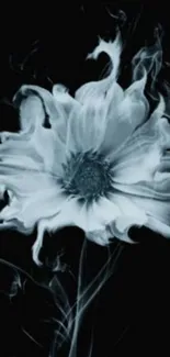 Ethereal smoke-like flower on black background.