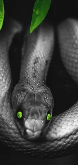 Black and white snake with neon green eyes against a leafy background.