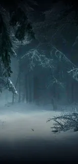 A tranquil snowy path through a dark forest, capturing winter's serenity.