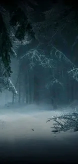 Snow-covered forest path with frosted trees.