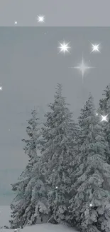 Mystical snowy forest with stars shining above the frosted trees.