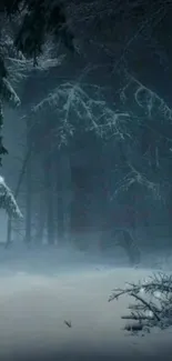 Snowy forest with dark trees and tranquil winter atmosphere.