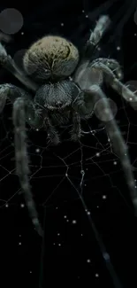 Detailed spider on web with glowing orbs in a dark aesthetic.