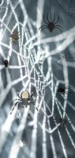 Mystical spider web dark gray wallpaper with artistic spider illustrations.