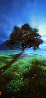 Lone tree under a vibrant sky in a lush green meadow landscape.