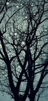 Intricate tree branches against a teal night sky with glowing orbs.