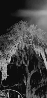 Black and white wallpaper of a tree at night, creating a mysterious atmosphere.