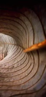 Tunnel-like leaf opening to a mystical forest