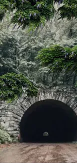 Mystical forest tunnel surrounded by greenery.